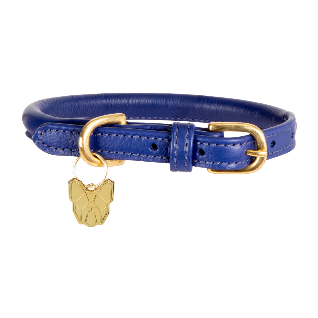 Shires Digby & Fox Rolled Leather Dog Collar - Image 7