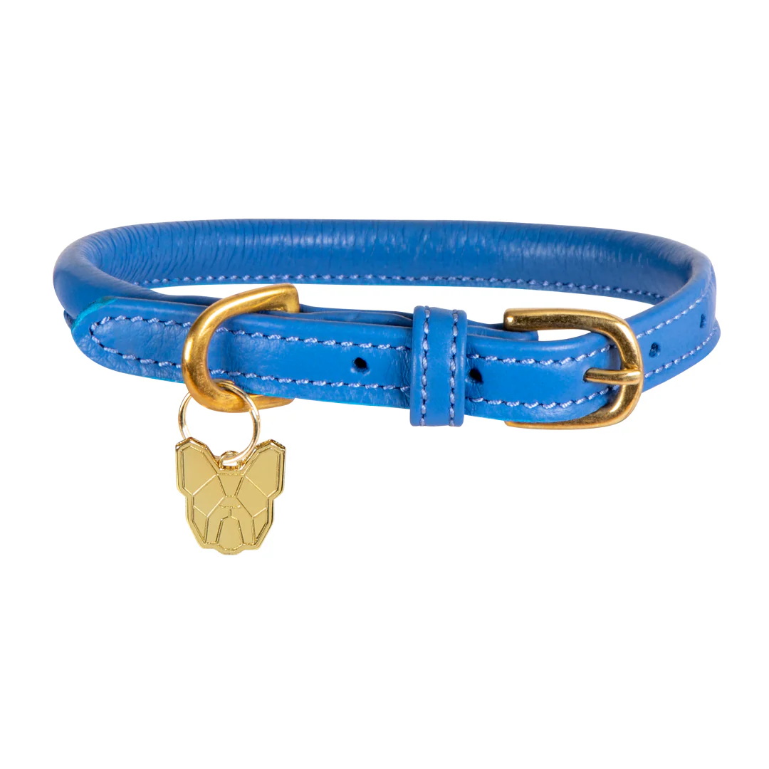Shires Digby & Fox Rolled Leather Dog Collar - Image 8