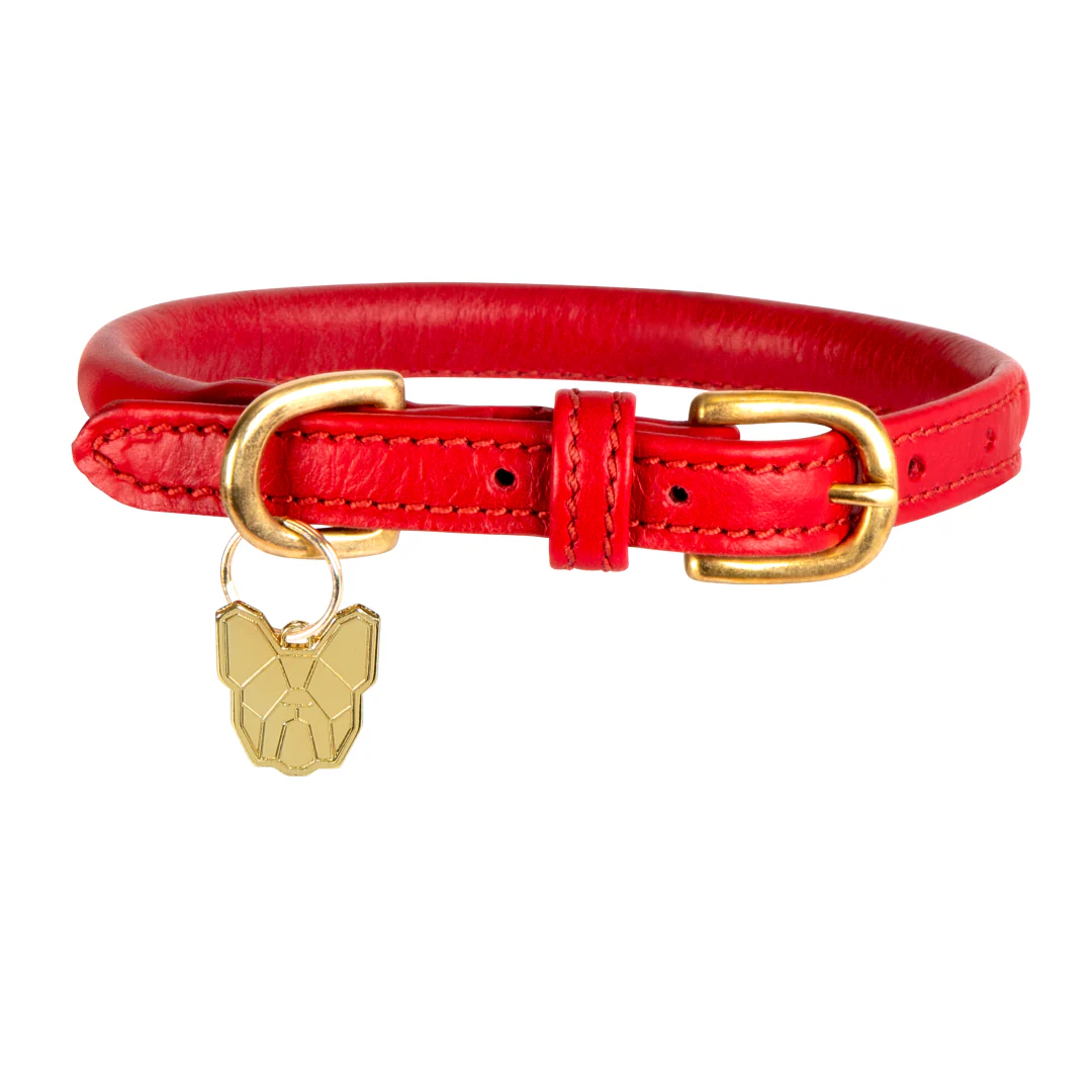 Shires Digby & Fox Rolled Leather Dog Collar - Image 9