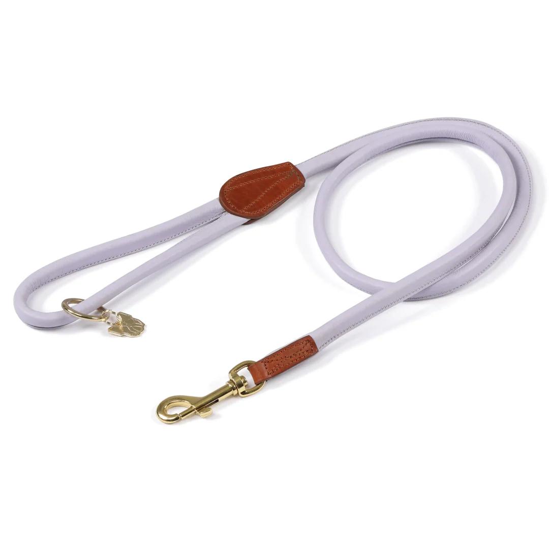 Shires Digby & Fox Rolled Leather Dog Lead - Image 10