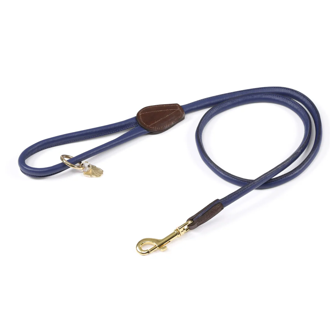 Shires Digby & Fox Rolled Leather Dog Lead - Image 14