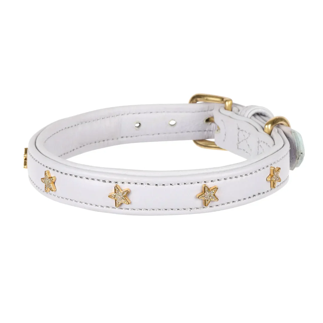 Shires Digby & Fox Star Dog Collar - Image 2