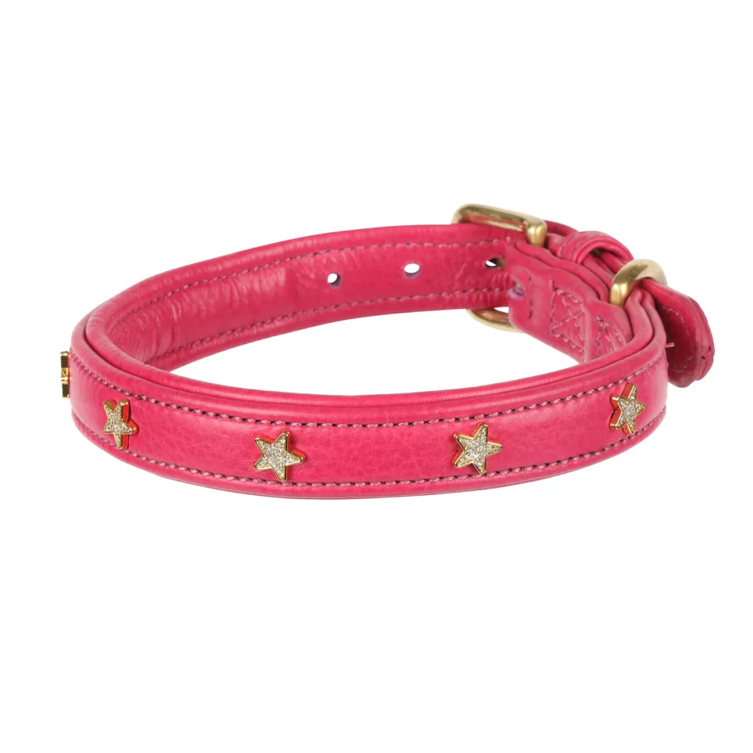 Shires Digby & Fox Star Dog Collar - Image 4