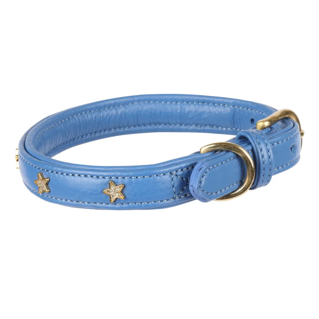 Shires Digby & Fox Star Dog Collar - Image 5