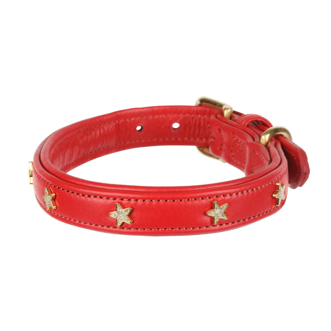 Shires Digby & Fox Star Dog Collar - Image 6