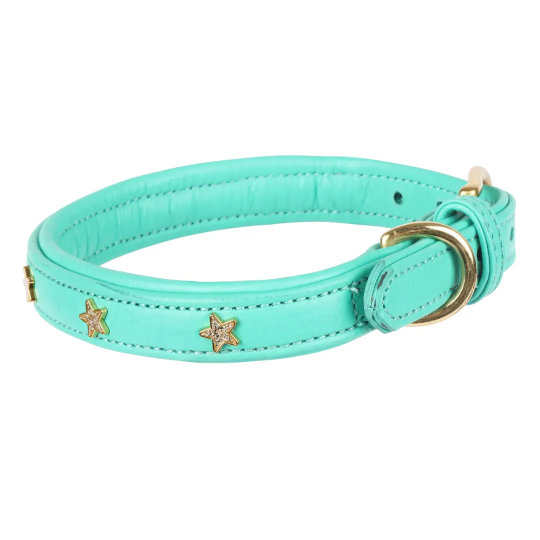 Shires Digby & Fox Star Dog Collar - Image 7