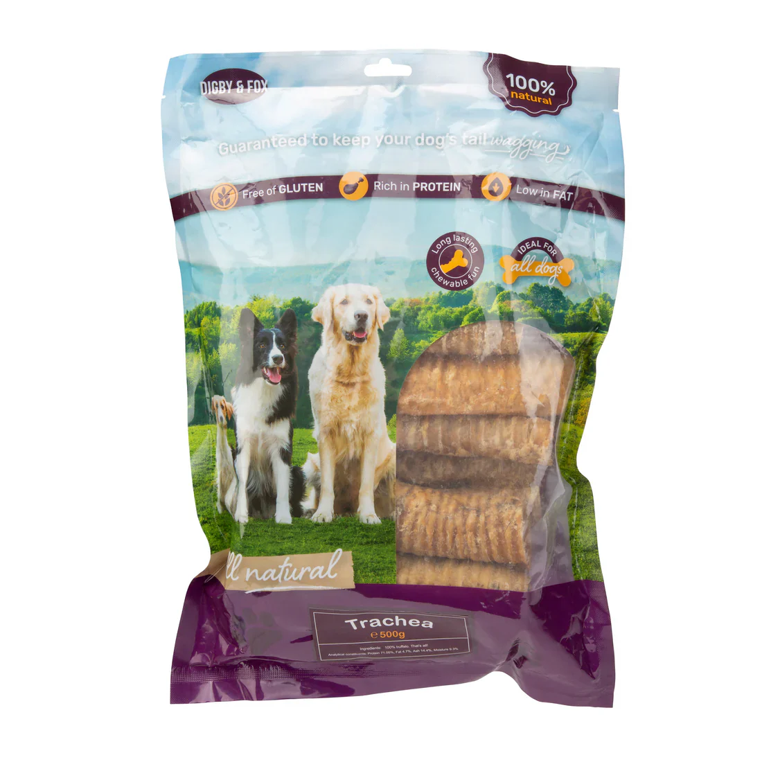 Shires Digby & Fox Trachea