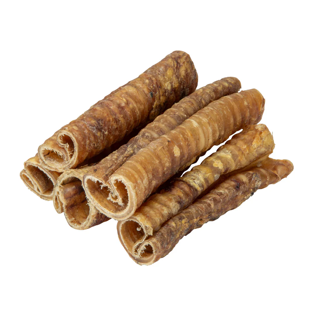 Shires Digby & Fox Trachea - Image 4