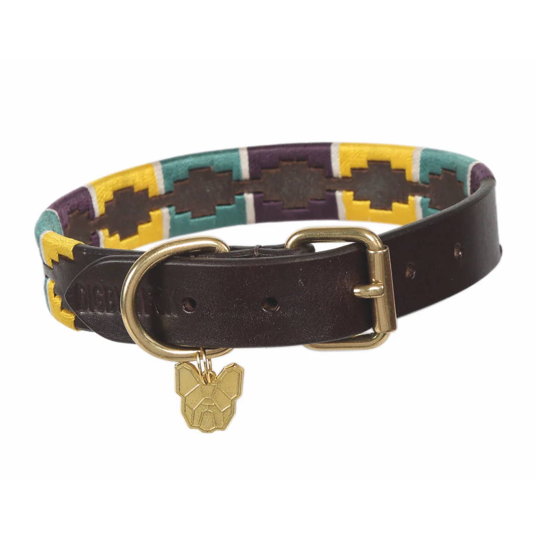 Shires Digby & Fox Drover Polo Dog Collar - Image 4