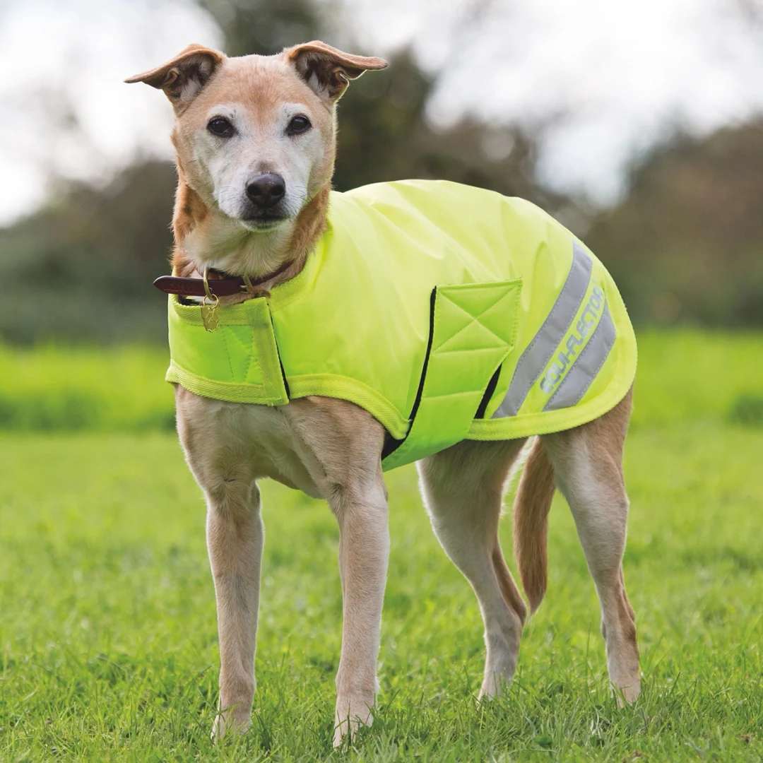 Shires Equi-Flector Waterproof Dog Coat