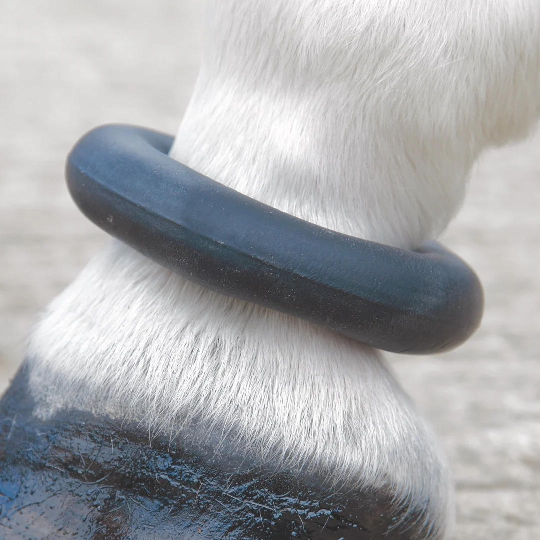 Shires Fetlock Ring - Image 2