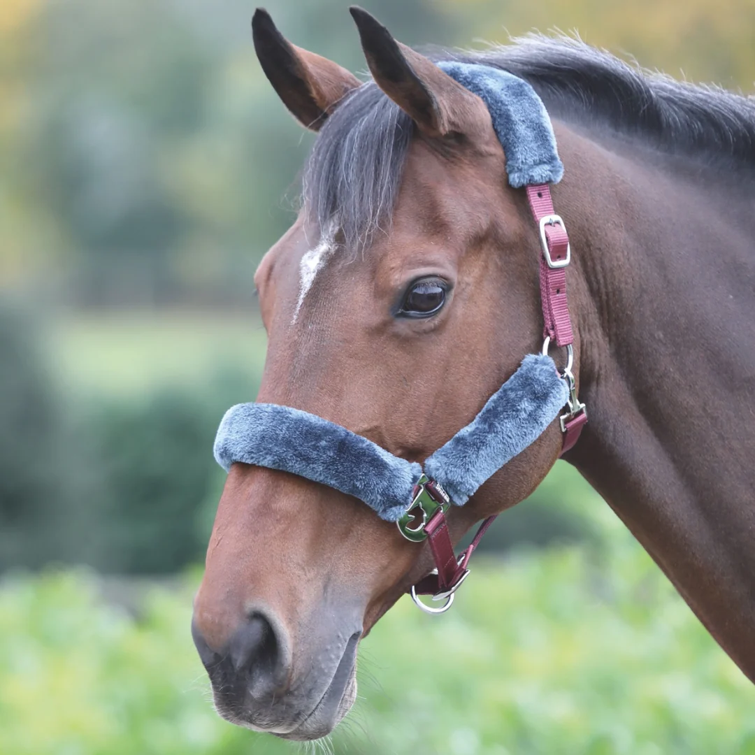 Shires Fleece Lined Headcollar - Image 2