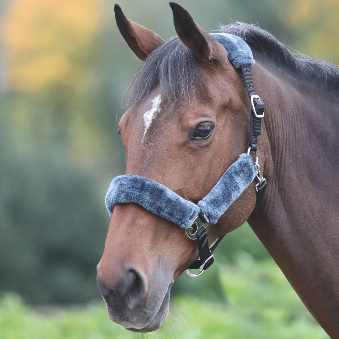 Shires Fleece Lined Headcollar - Image 3
