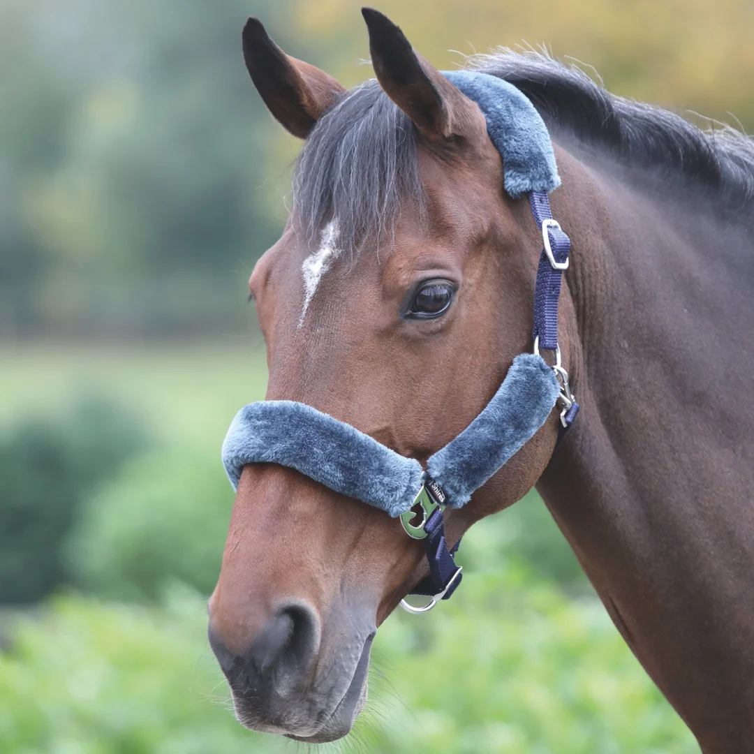 Shires Fleece Lined Headcollar - Image 5