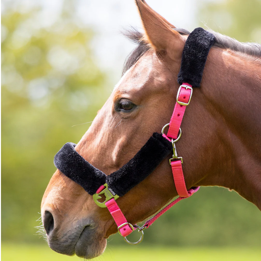 Shires Fleece Lined Headcollar - Image 6