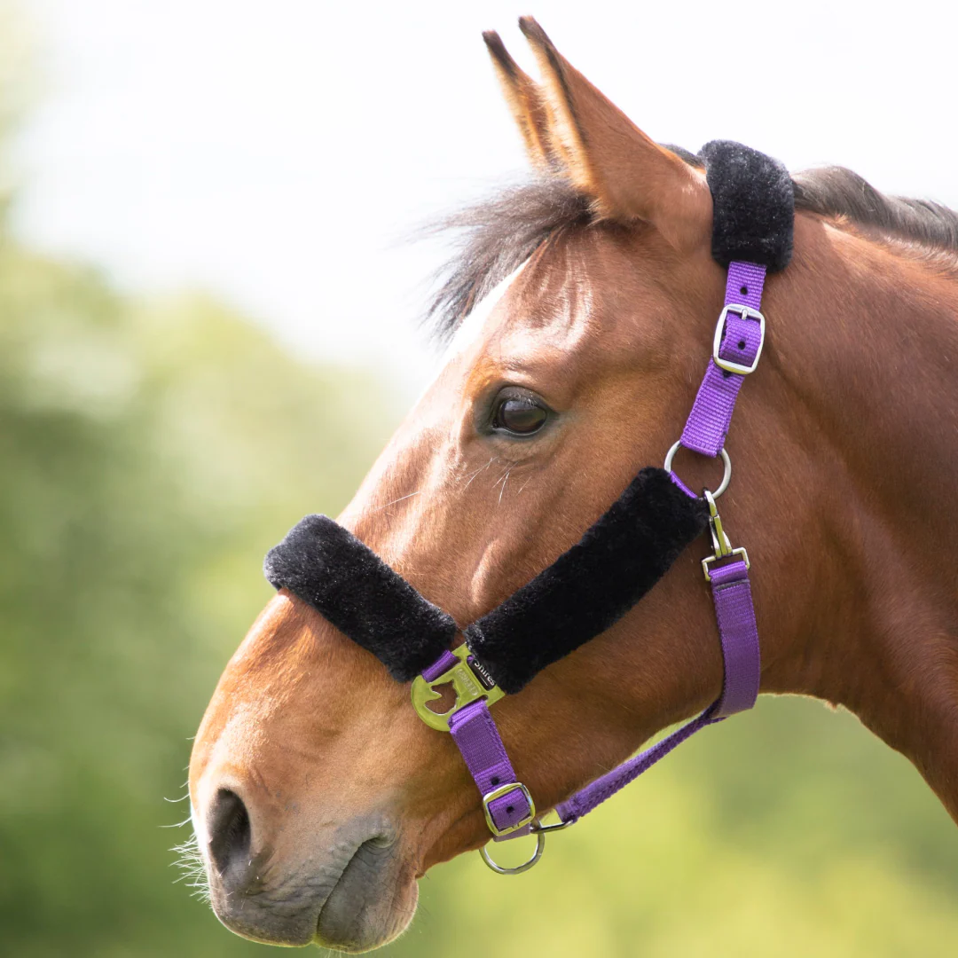 Shires Fleece Lined Headcollar - Image 7