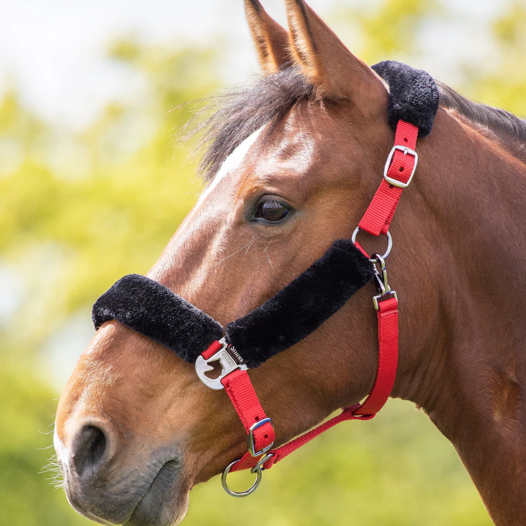 Shires Fleece Lined Headcollar - Image 8