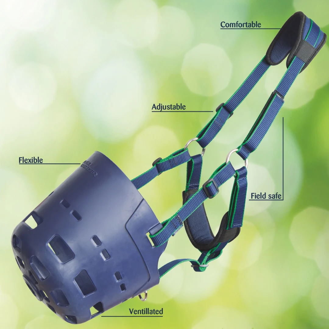 Shires FLEXI GRAZER Grazing Muzzle - Image 2