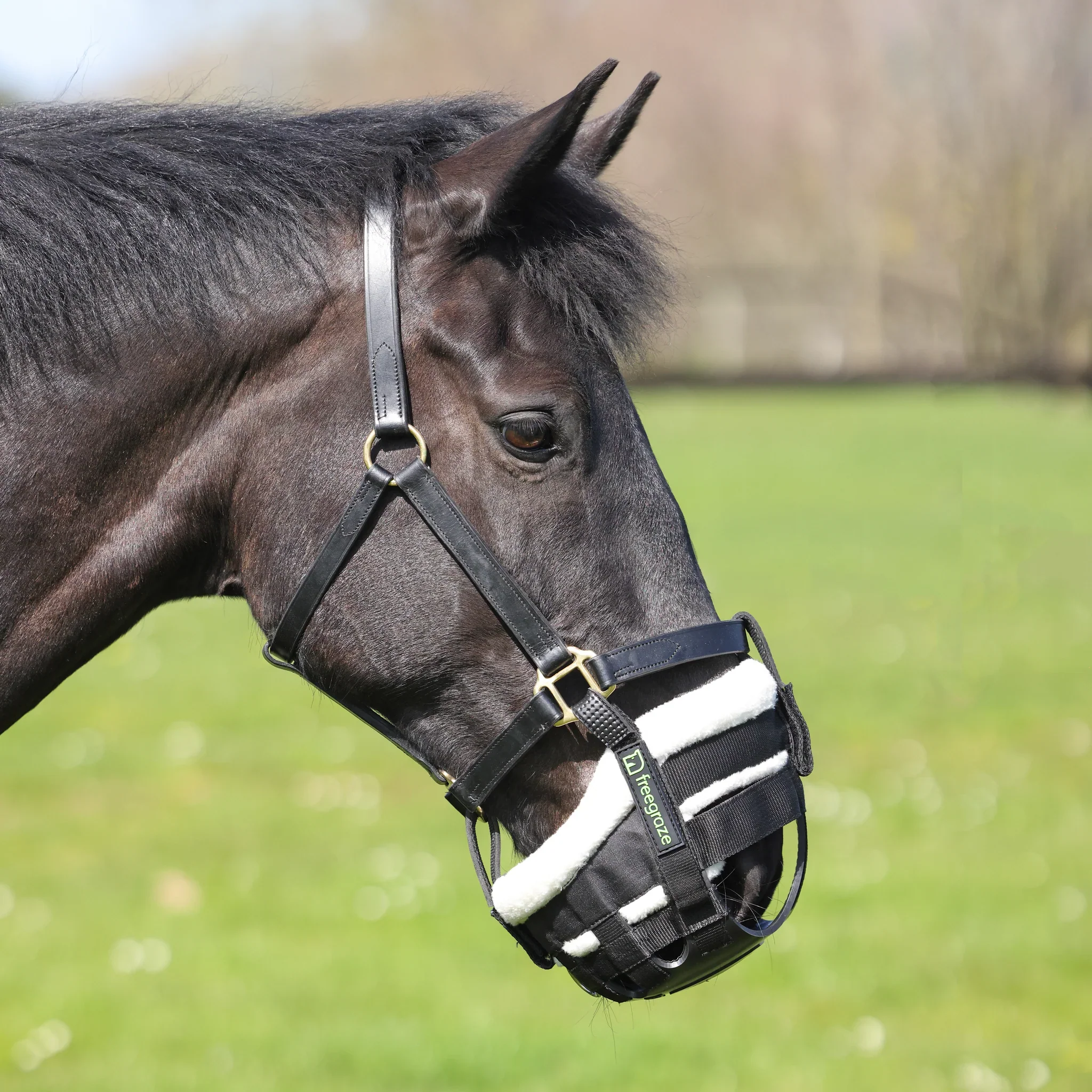 Shires Freegraze Deluxe AirFlow Detachable Grazing Muzzle - Image 10