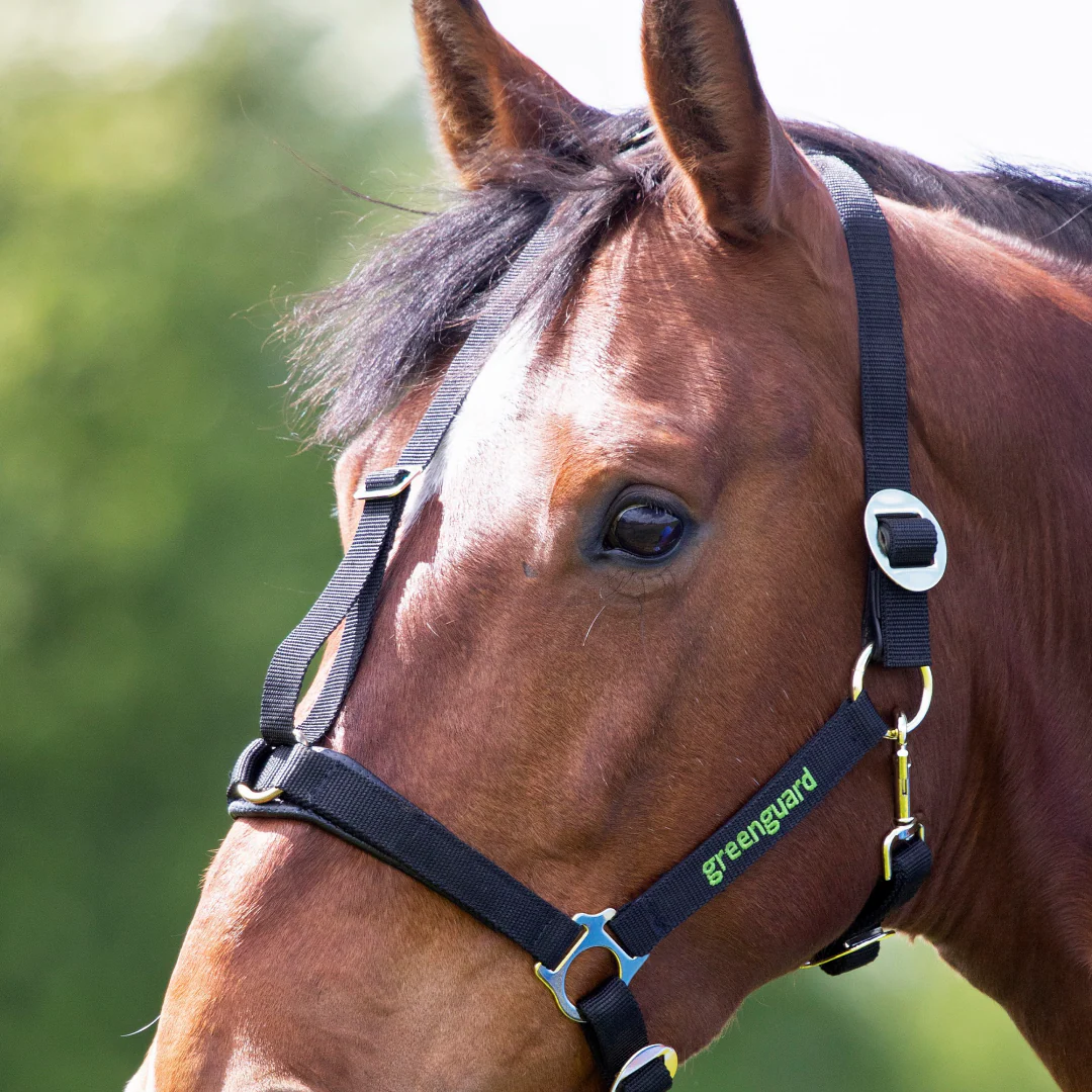 Shires Greenguard Headcollar - Image 3