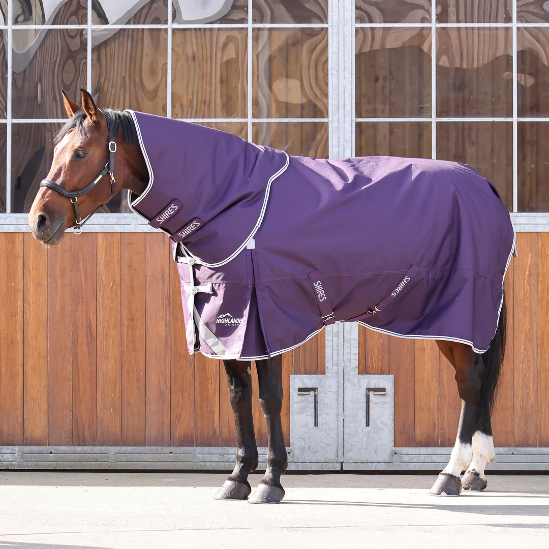 Shires Highlander Original 100g Turnout Rug & Neck - Image 2