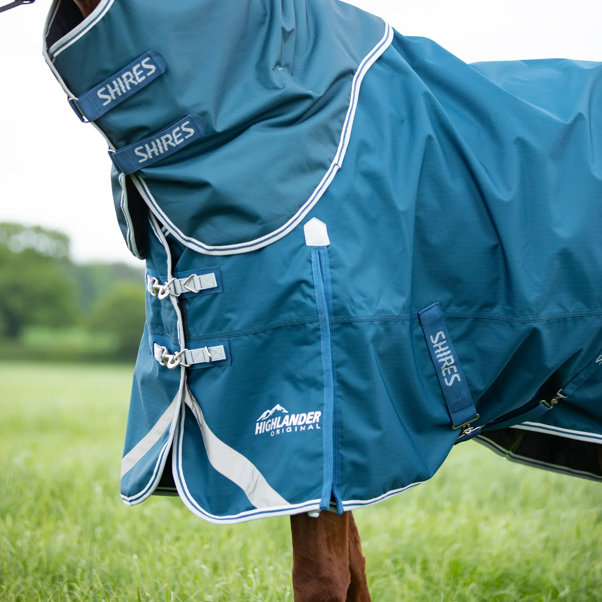 Shires Highlander Original 50g Turnout Rug & Neck - Image 4