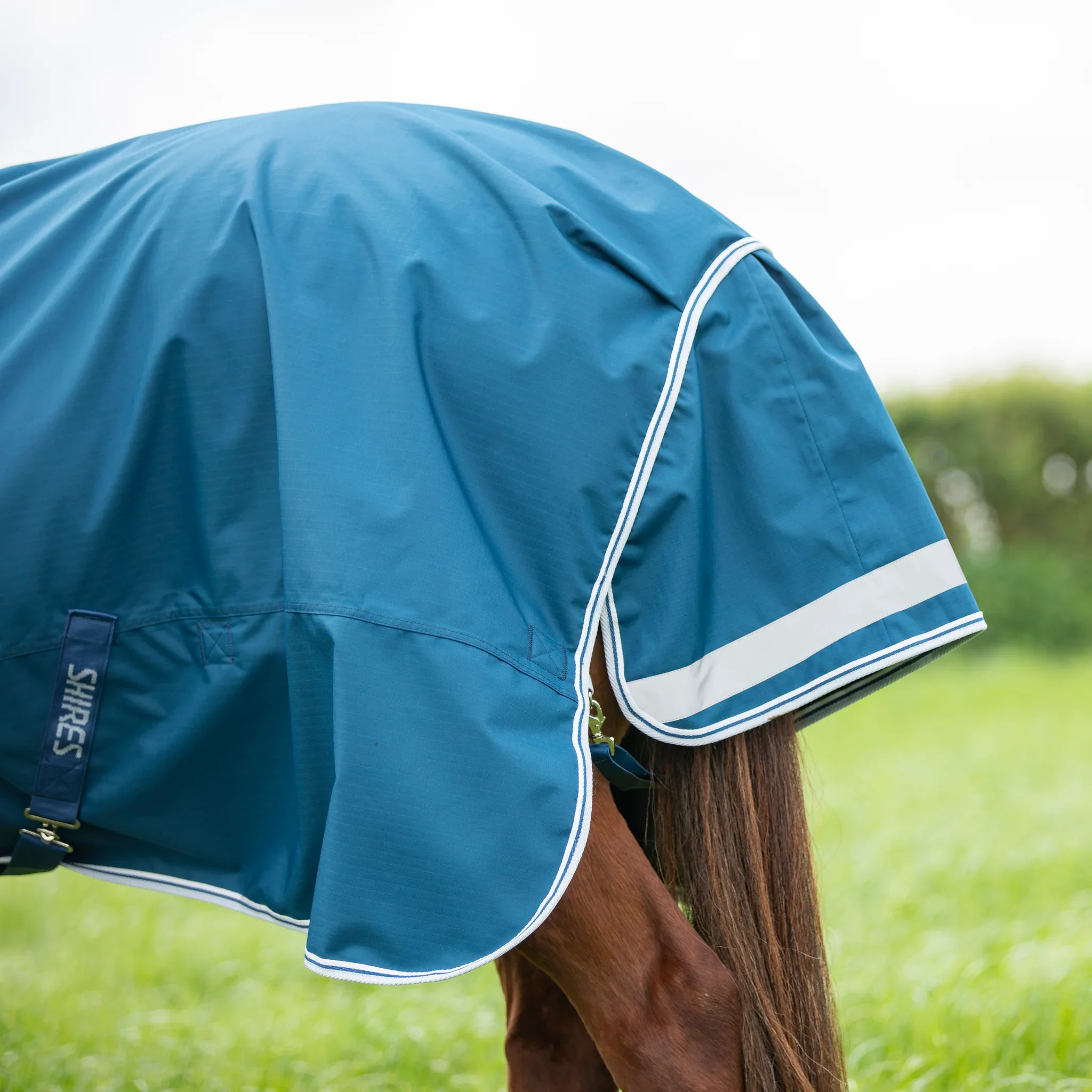 Shires Highlander Original 50g Turnout Rug & Neck - Image 5