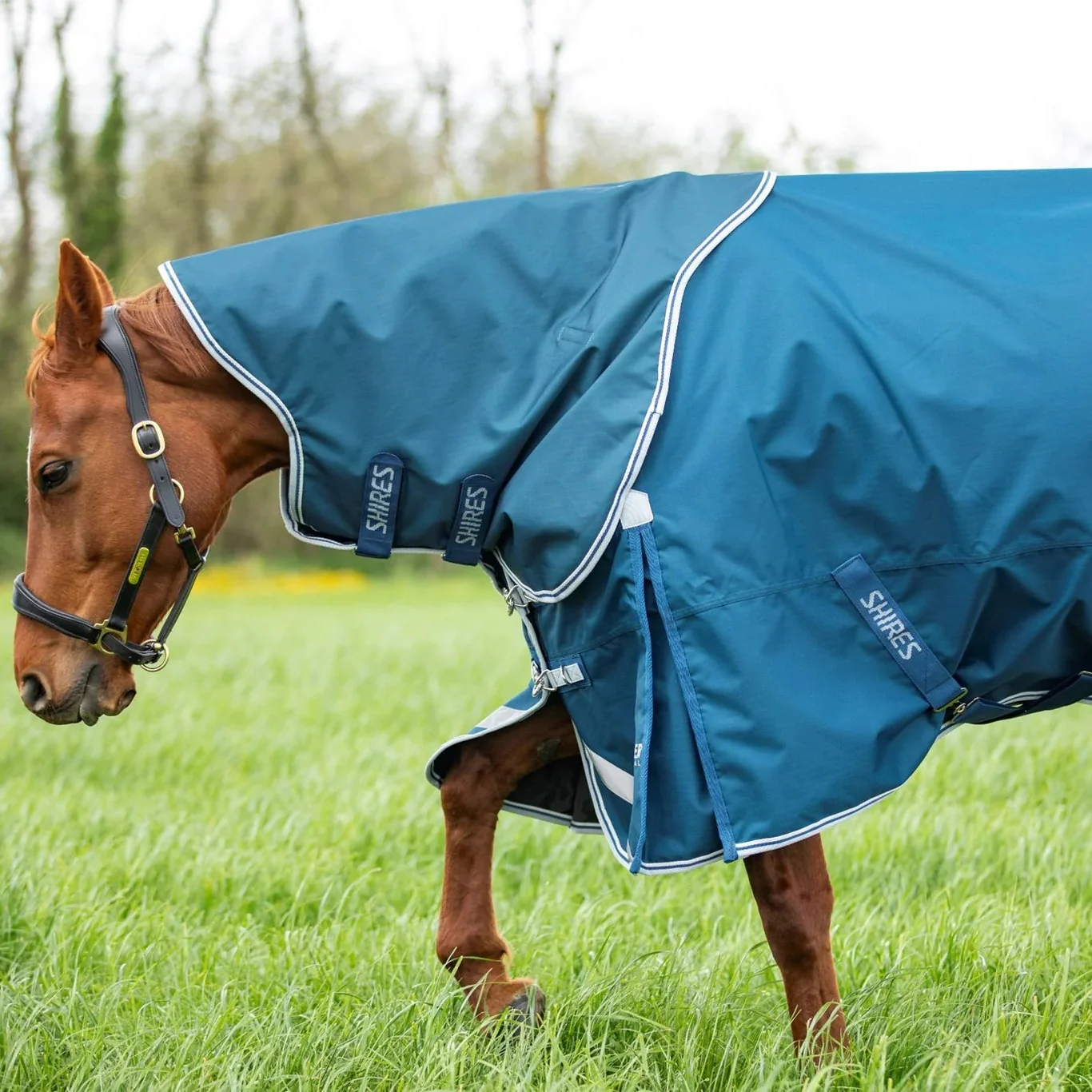 Shires Highlander Original 50g Turnout Rug & Neck - Image 6