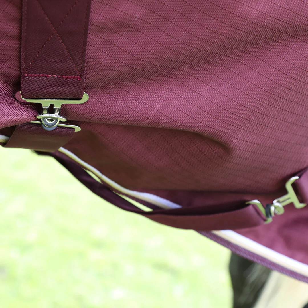 Shires Highlander Plus 100g Combo Turnout Rug - Image 6