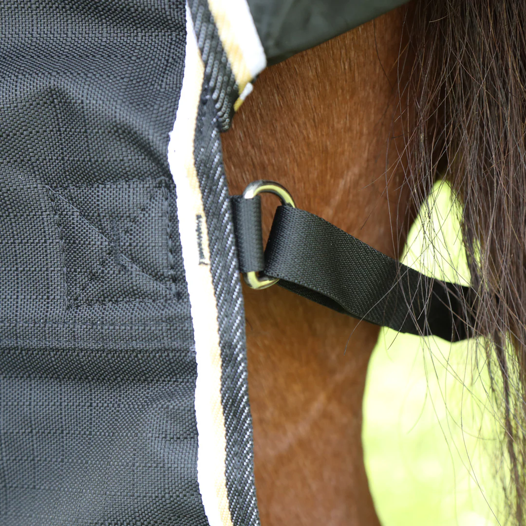 Shires Highlander Plus 200 Turnout Rug - Image 2