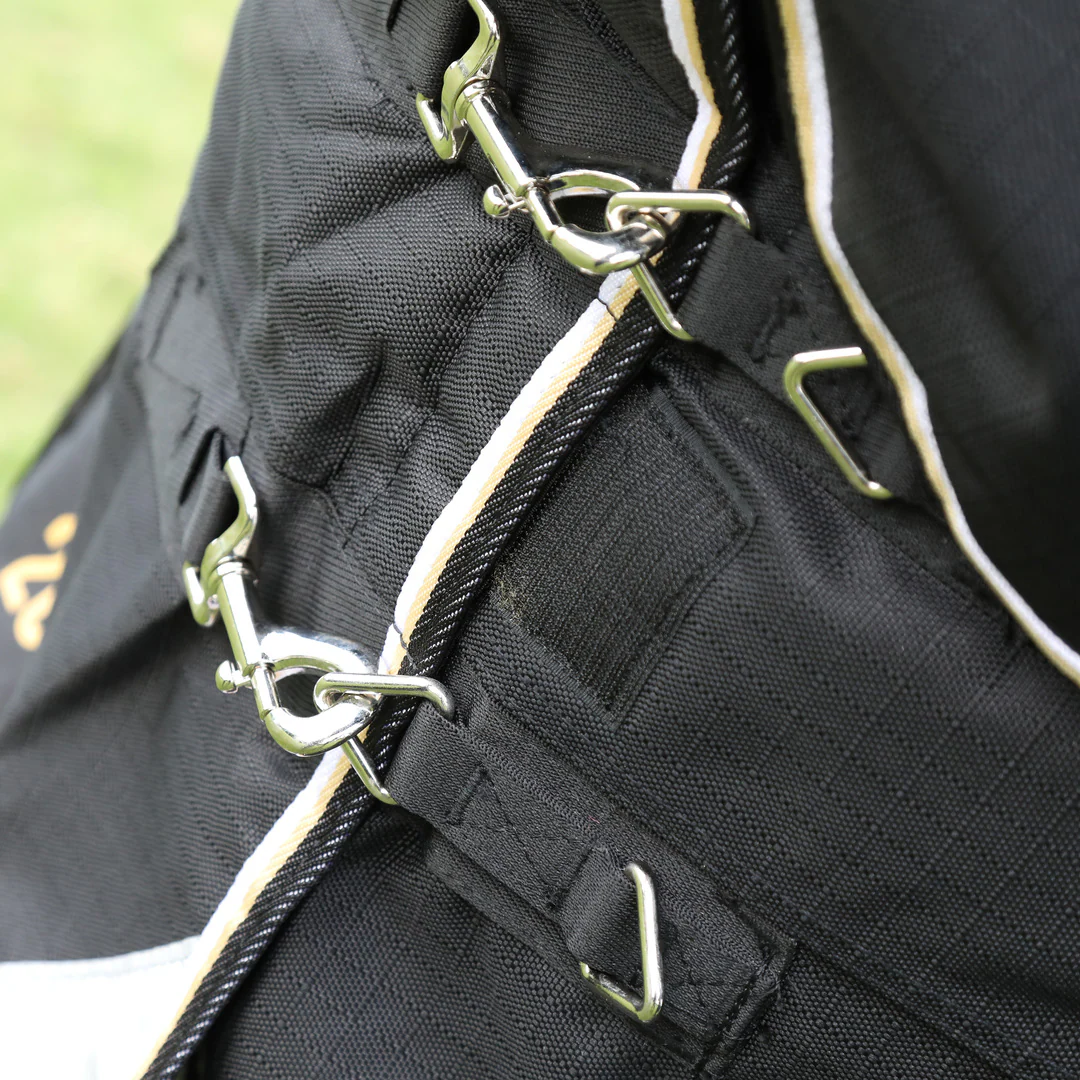 Shires Highlander Plus 200 Turnout Rug - Image 4