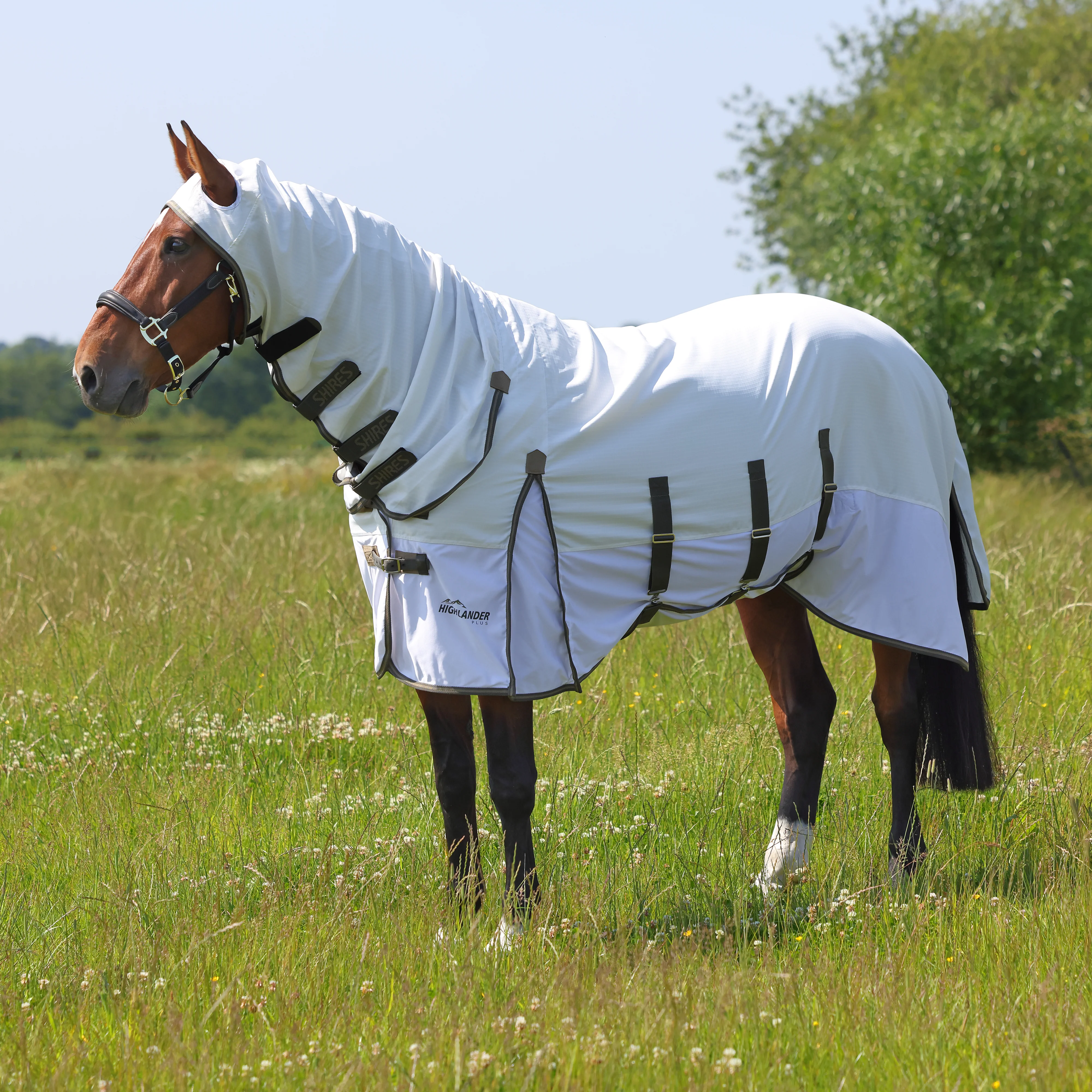 Shires Highlander Plus Sun Shade Fly Combo Rug - Image 2