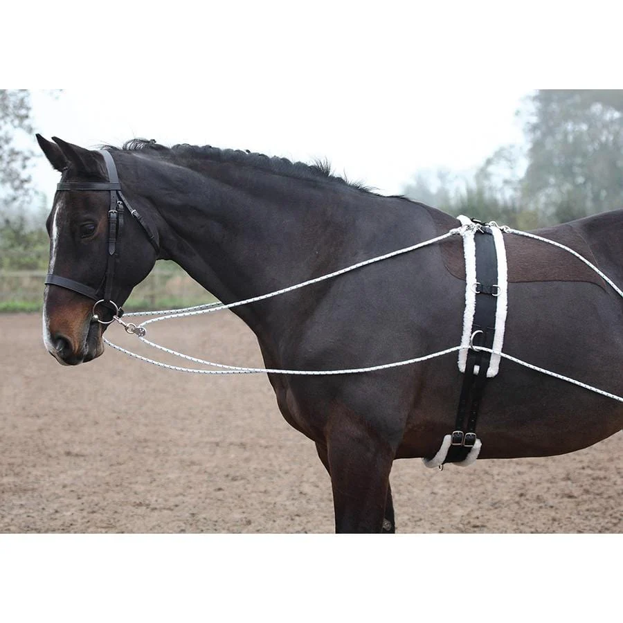 Shires Lunging Aid - Image 2