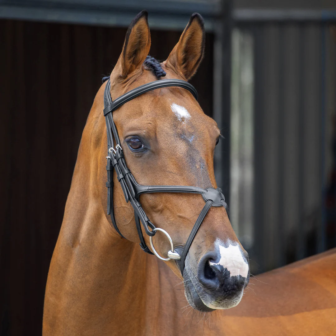 Shires Lusso Grackle Bridle