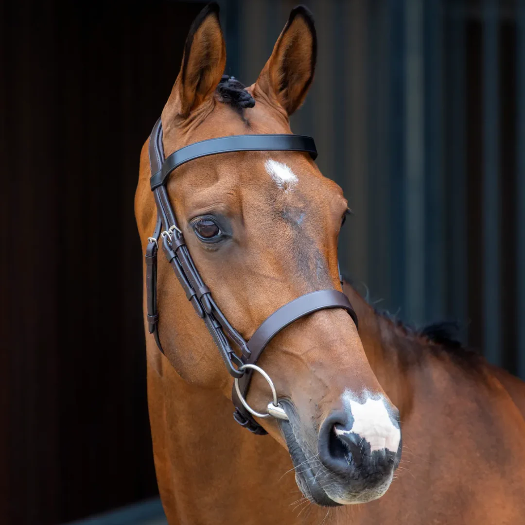 Shires Lusso Hunter Cavesson Bridle - Image 2