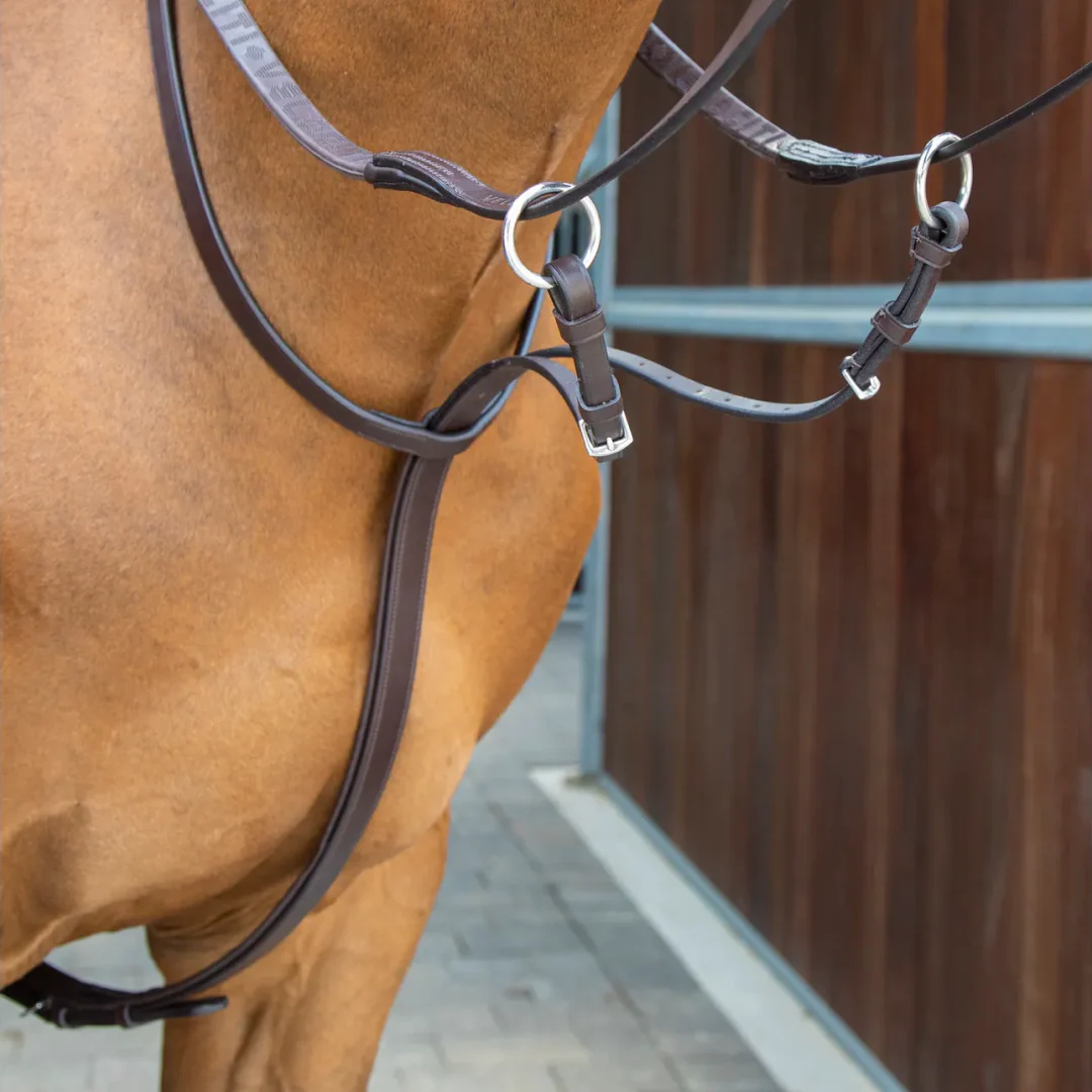 Shires Lusso Running Martingale - Image 2