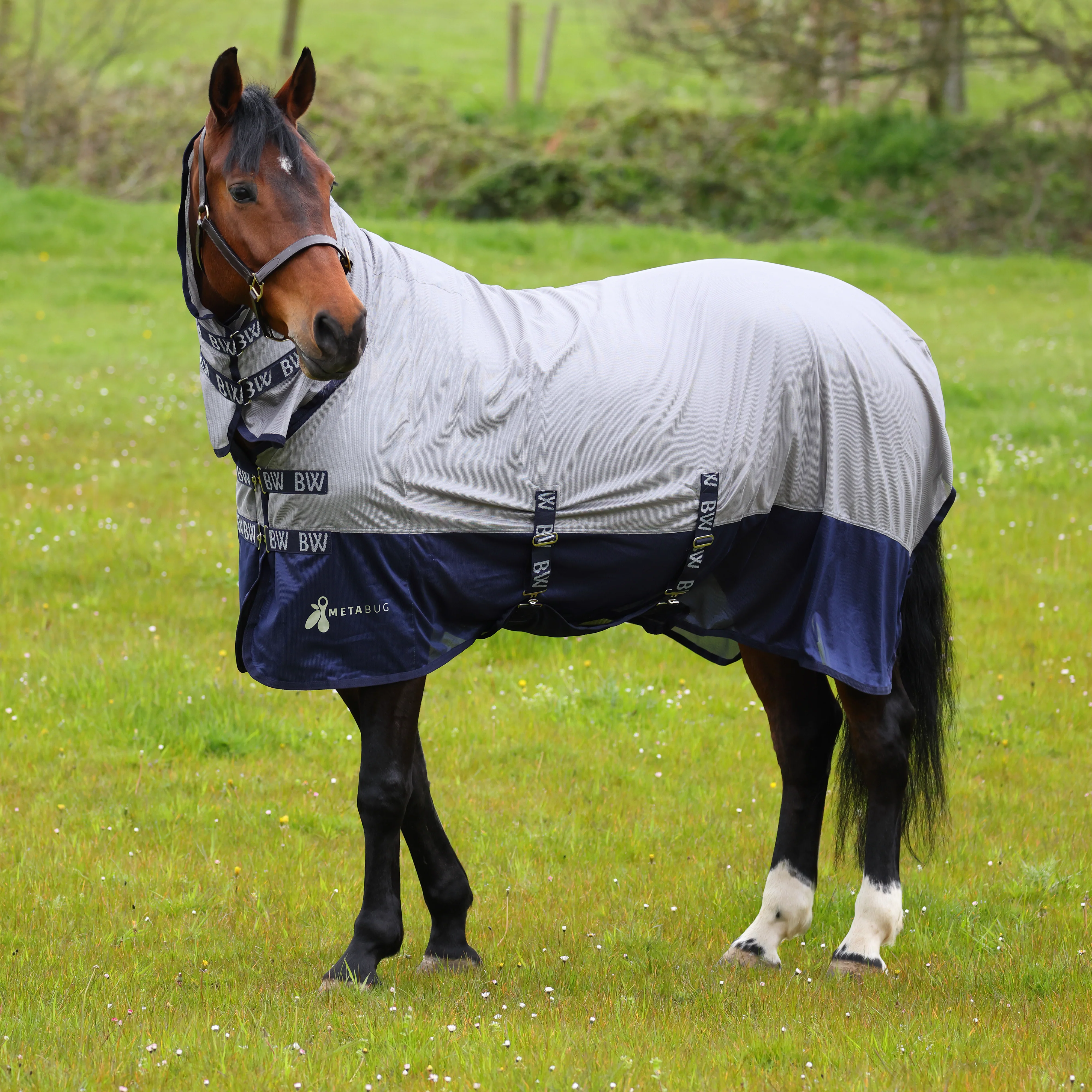 Bridleway Metabug Fly Combo