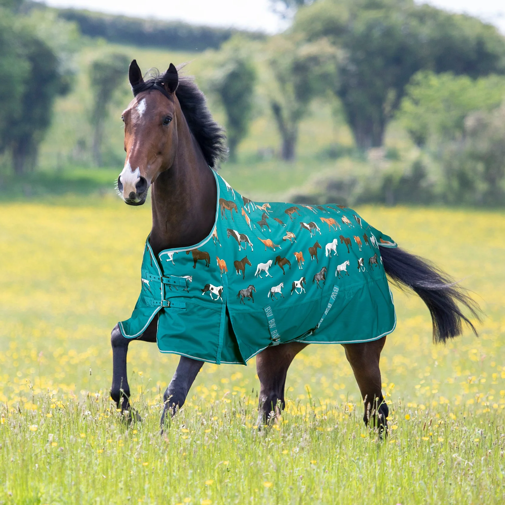 Bridleway Ontario 100g Turnout Rug - Image 2