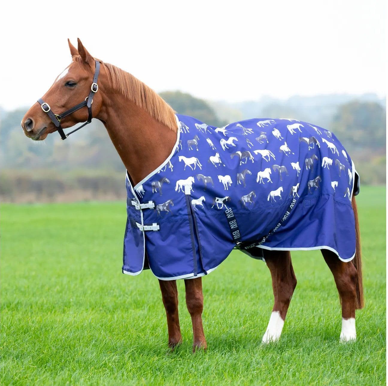 Bridleway Ontario Lite Turnout Rug - Image 4