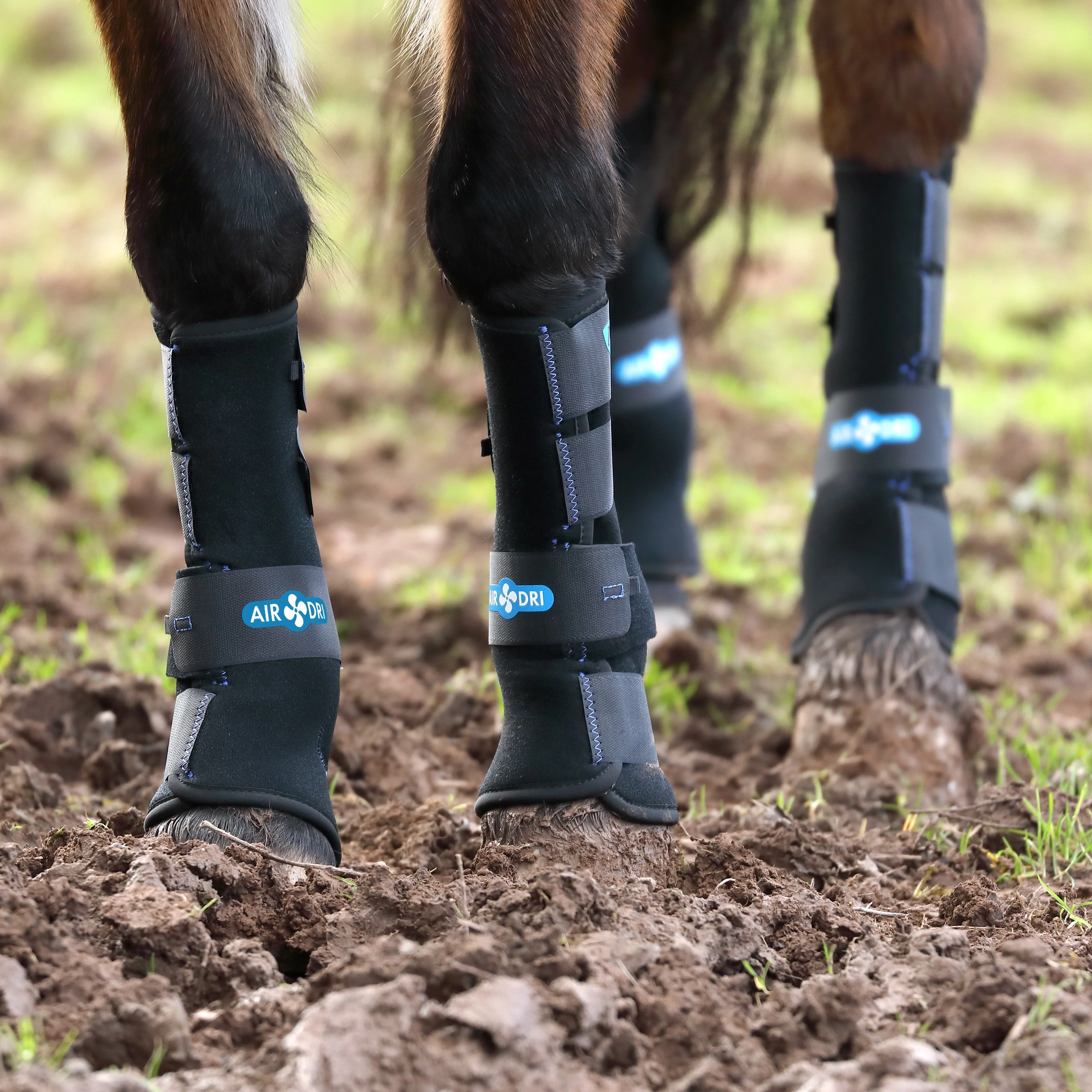 Shires ARMA Deluxe Mud Socks - Image 3