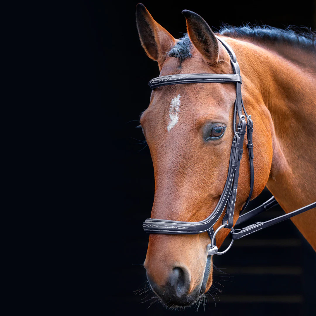 Shires Salisbury Berkeley Anatomical Cavesson Bridle - Image 2