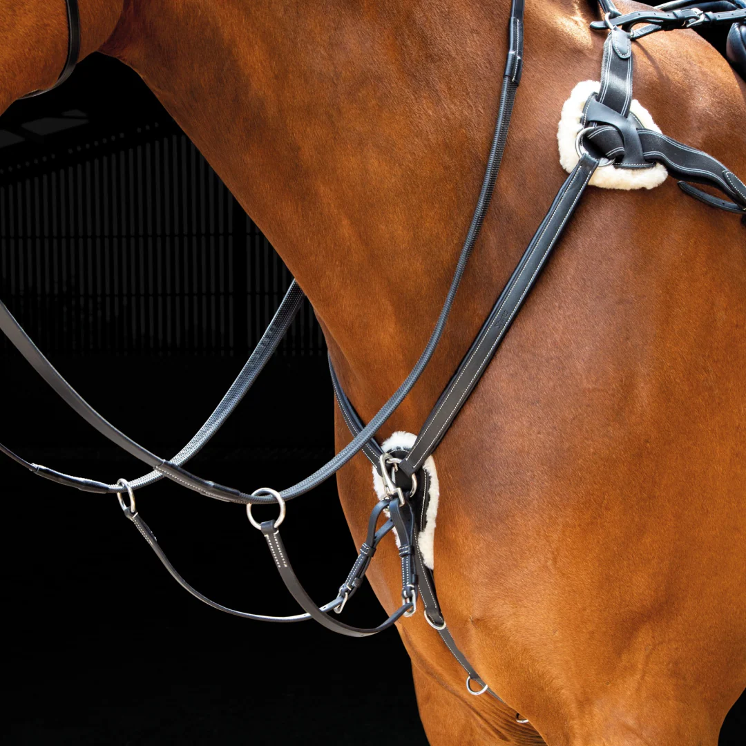 Shires Salisbury 5 Point Breastplate