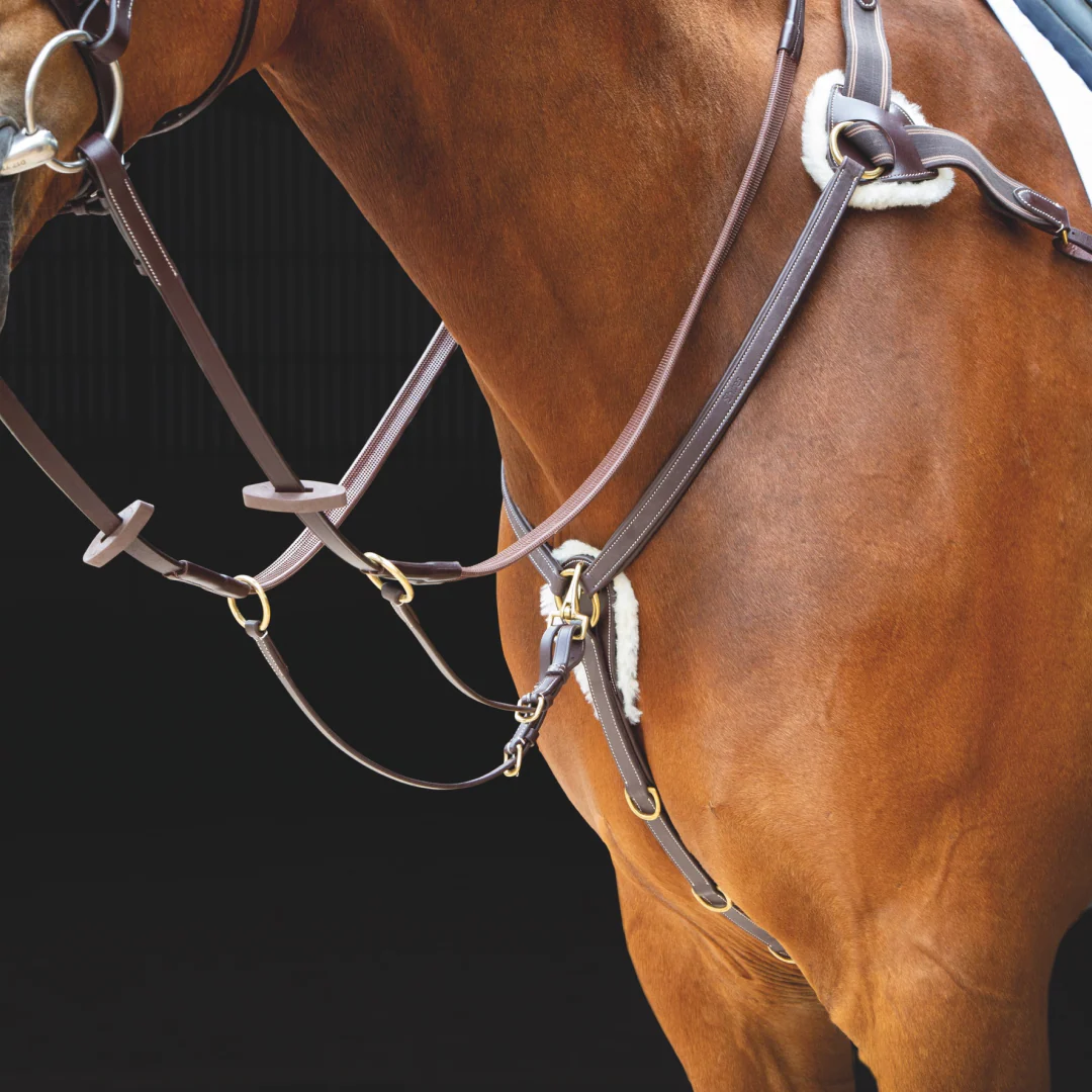 Shires Salisbury 5 Point Breastplate - Image 2