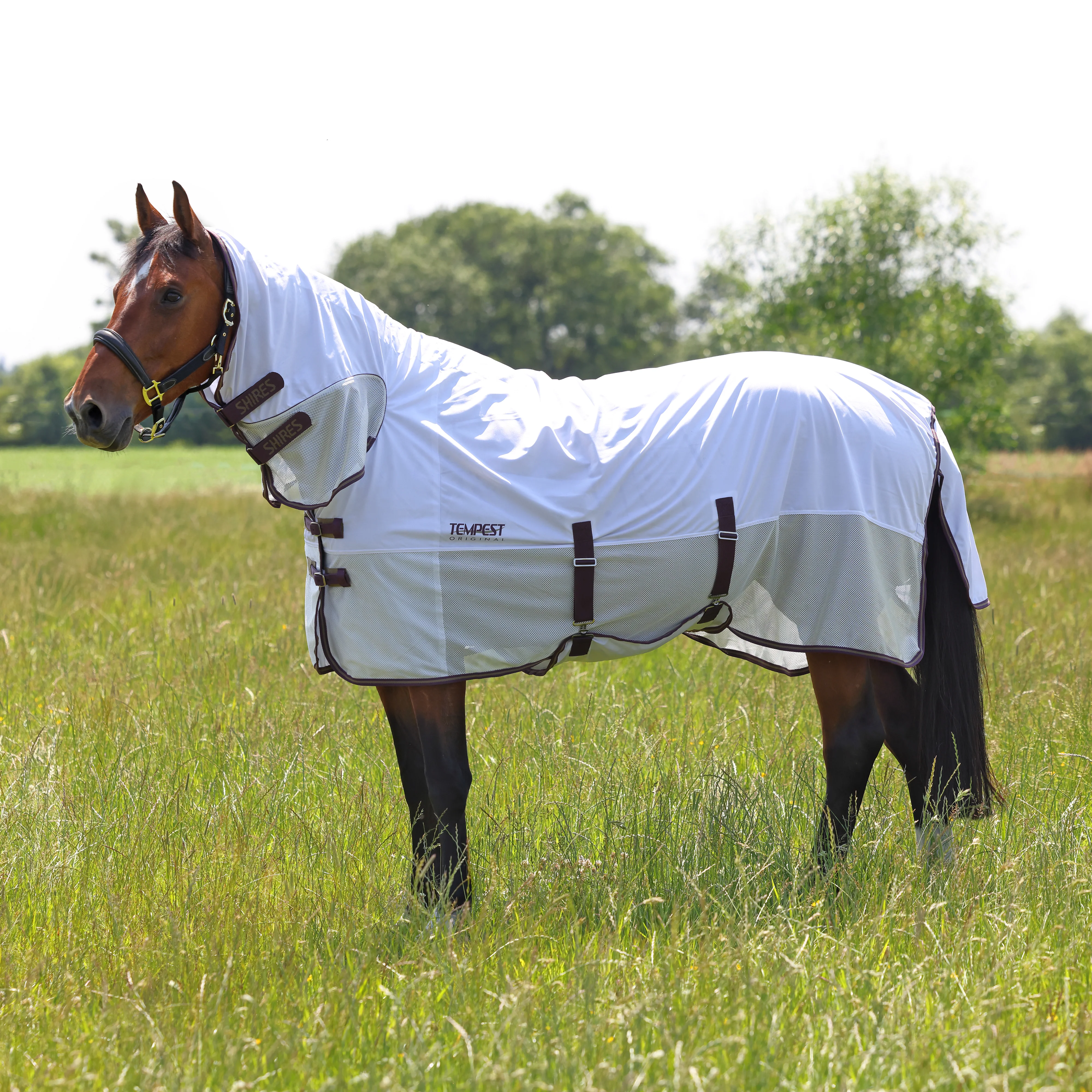 Shires Tempest Original Fly Mesh Combo Rug - Image 15