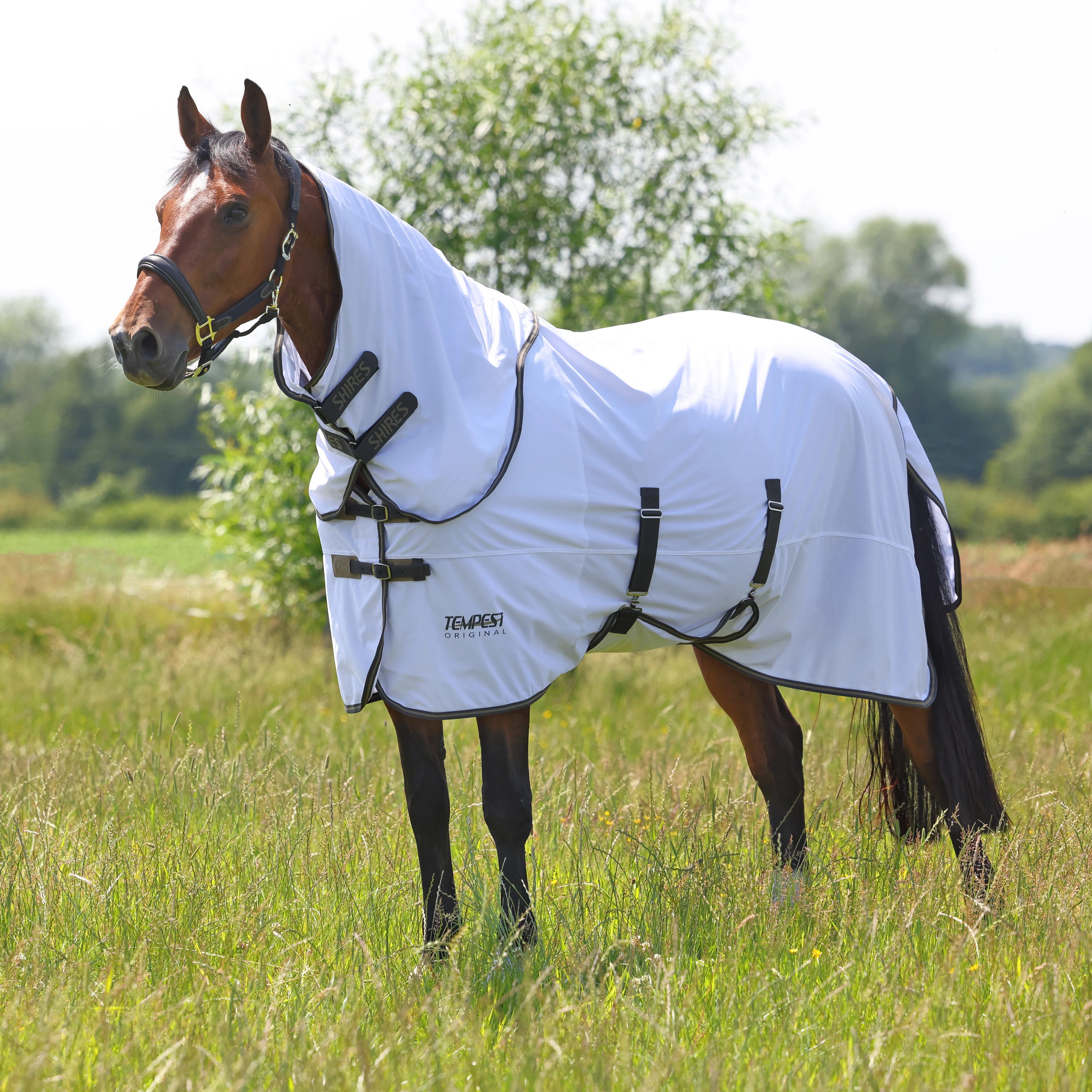 Shires Tempest Original Fly Rug & Neck Set - Image 12
