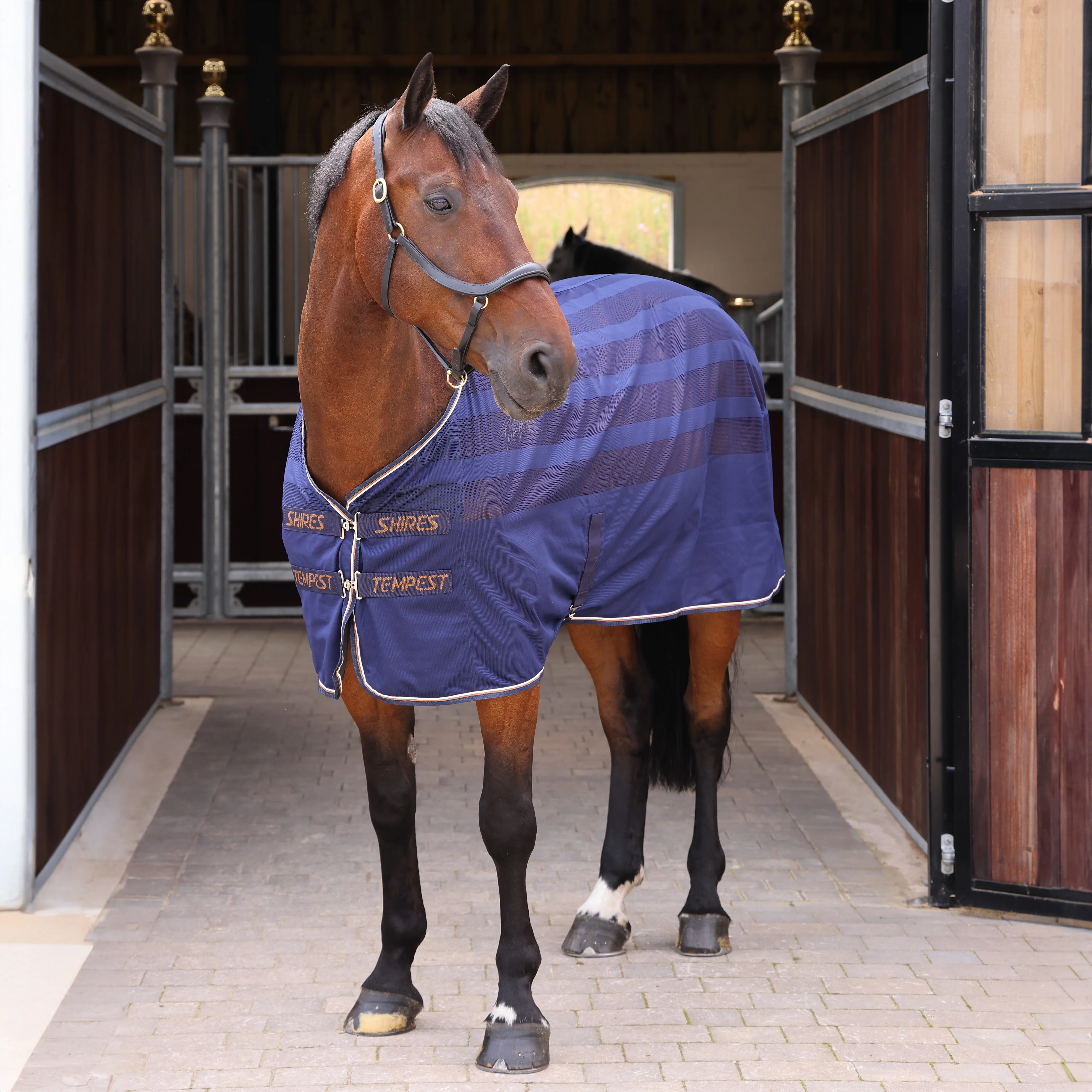 Shires Tempest Original Scrim Cooler Rug - Image 3