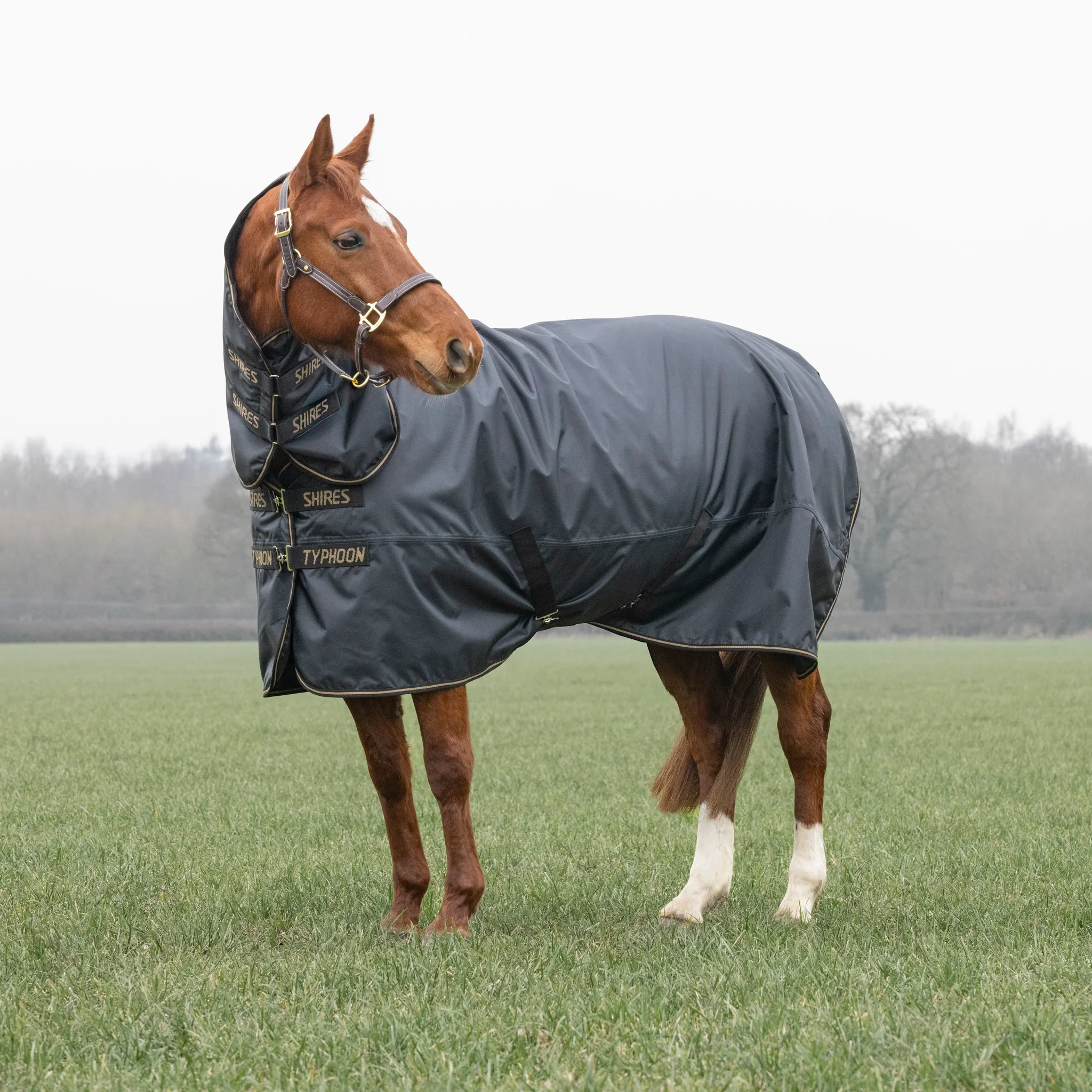 Shires Typhoon 50g Combo Turnout Rug - Image 2