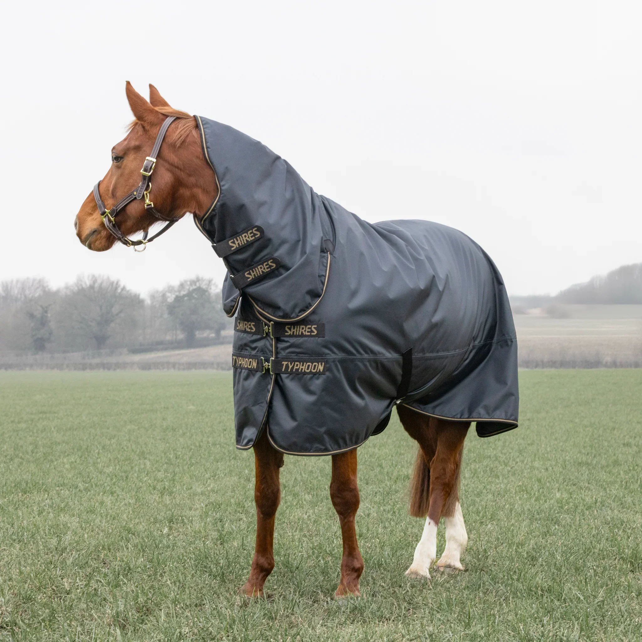 Shires Typhoon 50g Combo Turnout Rug - Image 3
