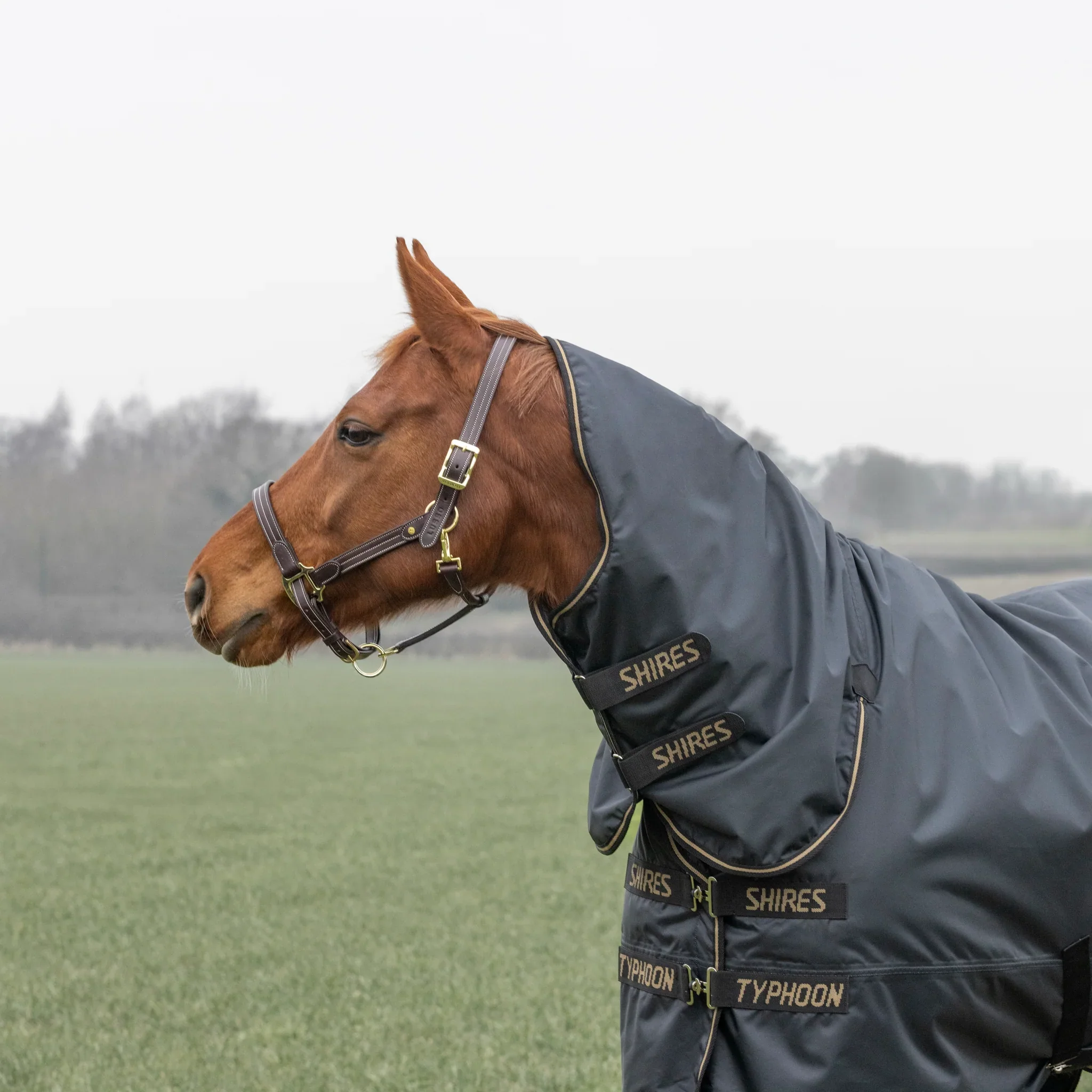 Shires Typhoon 50g Combo Turnout Rug - Image 4