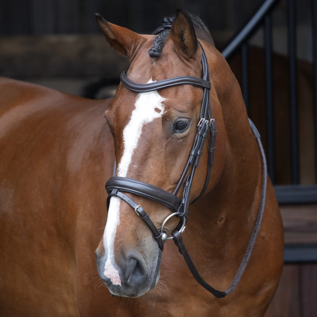 Shires Velociti RAPIDA Dressage Flash Bridle - Image 3